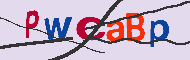 Captcha認証コード